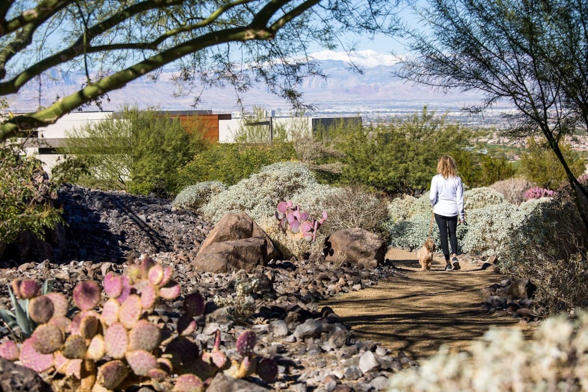 Woman walking through landscaped desert garden in upscale community.