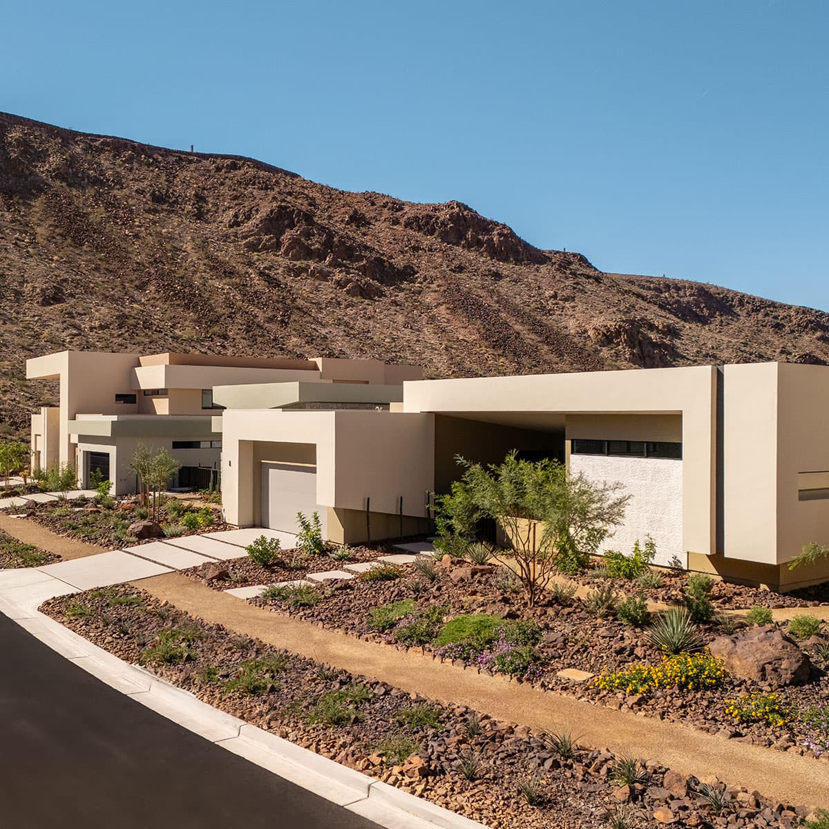 Contemporary desert homes with minimalist architecture, landscaped xeriscape gardens, and scenic mountain backdrop in a luxury residential community.